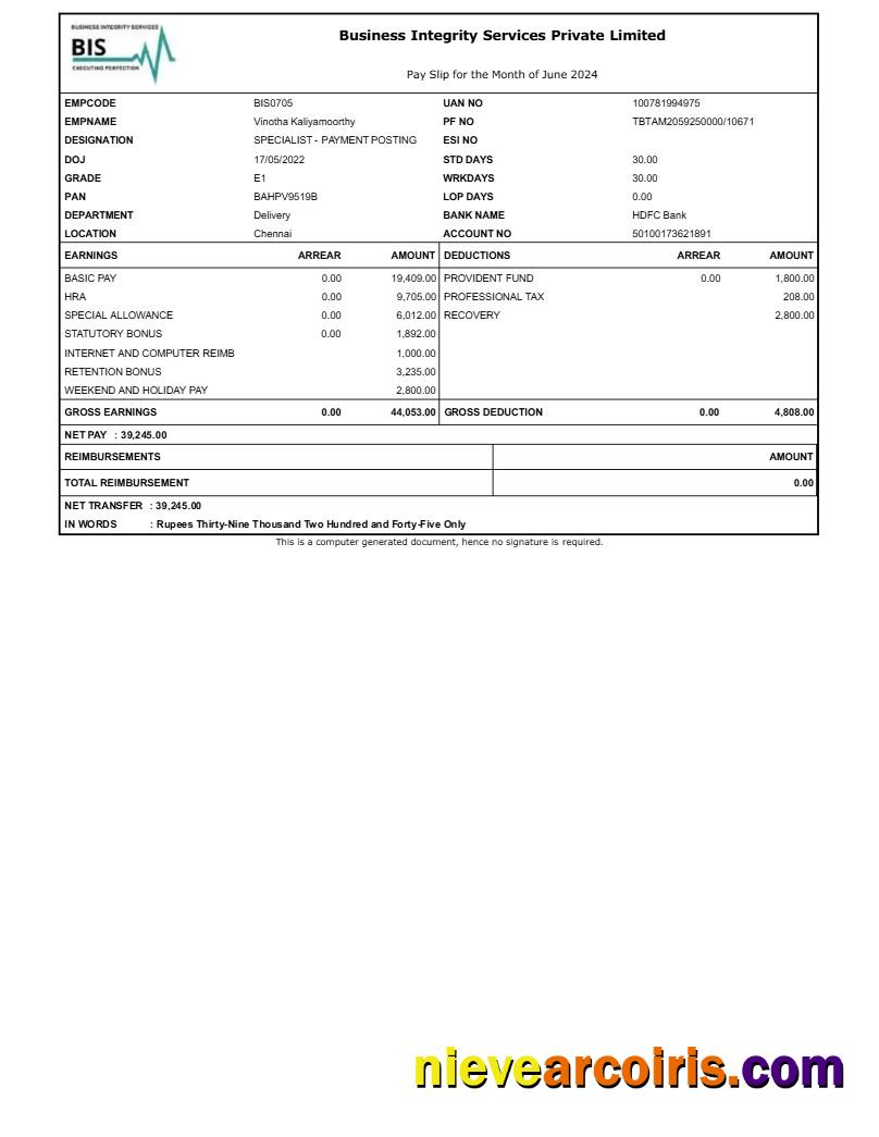 Business Integrity Services payslip